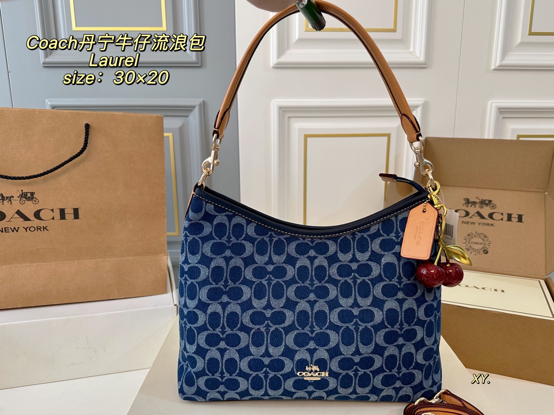 coach bag 205